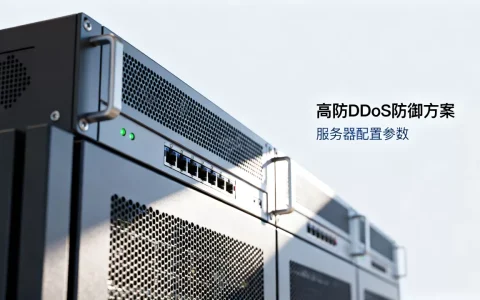 高防DDoS攻击如何有效防御？高防服务器价格及选择指南