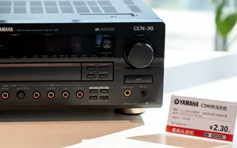 雅马哈cdn301参数配置详解，雅马哈cdn301价格及购买渠道