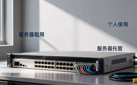 个人如何利用好服务器？服务器租用和托管哪个更划算