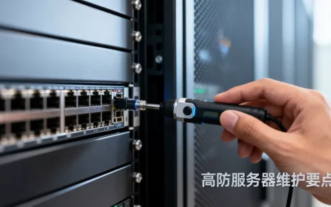 高防服务器维护方案是什么？高防服务器维护方案有哪些