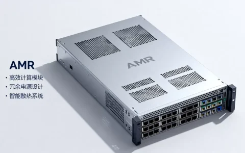 amr服务器是什么？amr服务器优缺点及选购指南