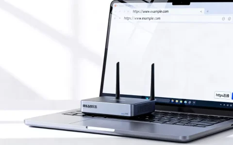 https网站连接是隐藏的吗？https网站连接是隐藏的还是可见的