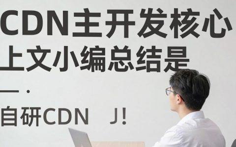 CDN自主开发靠谱吗，CDN加速