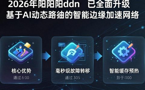 阳阳阳cdn是什么，阳阳阳cdn加速效果如何