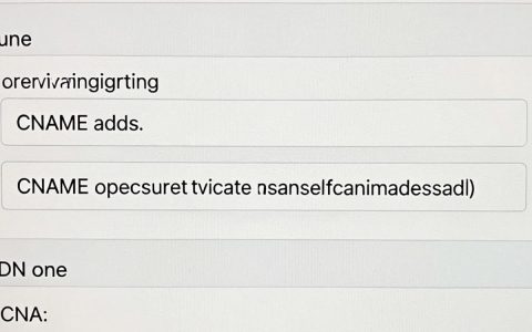 cdn搭建cname怎么配置，cdncname记录设置教程