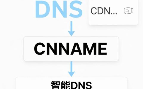 cdn设置dns解析失败怎么办，cdn设置dns