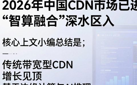 中国cdn市场现状如何，中国cdn市场规模