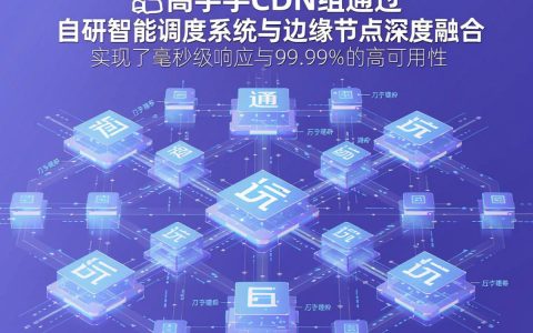 快手cdn组是什么，快手cdn组