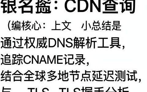 域名cdn查询，域名cdn查询是什么