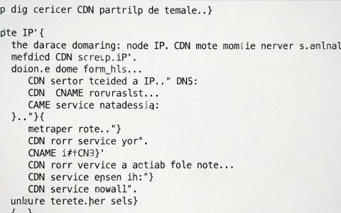 dig看cdn，dig命令查询CDN节点IP