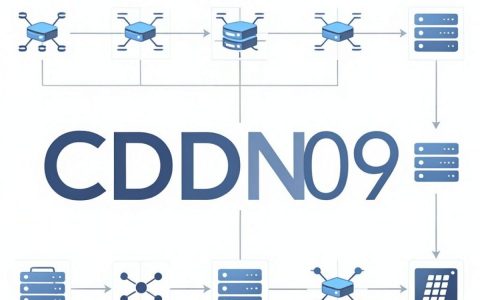 cdn09是什么，cdn09加速服务详解