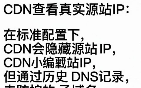 cdn看ip显示什么，cdn查看ip地址