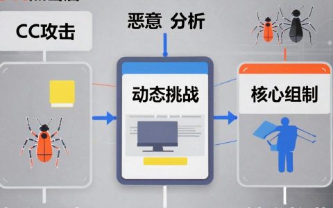 cdn点击盾是什么，cdn点击盾怎么用