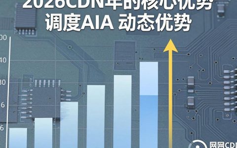 维网cdn加速卡顿怎么办，维网cdn