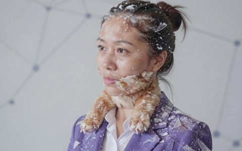 阿里cdn恶意使用怎么办，阿里cdn恶意