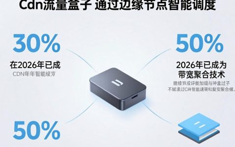 cdn流量盒子是什么，cdn流量盒子