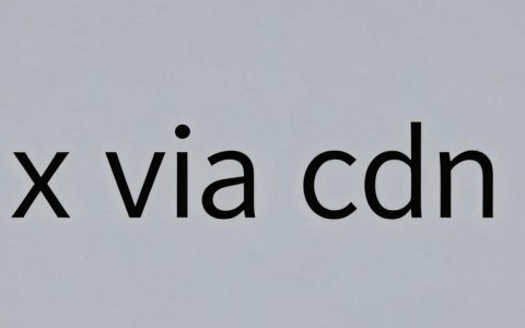 什么是{x via cdn}，x via cdn