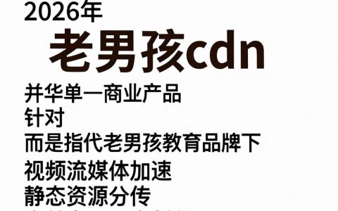老男孩cdn怎么用，老男孩cdn加速