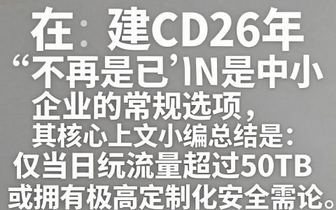 自建cdn规模多大合适，自建cdn规模