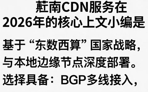 河南cdn服务器怎么用，河南cdn服务器租用价格