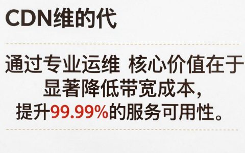cdn代维是什么意思，cdn代维