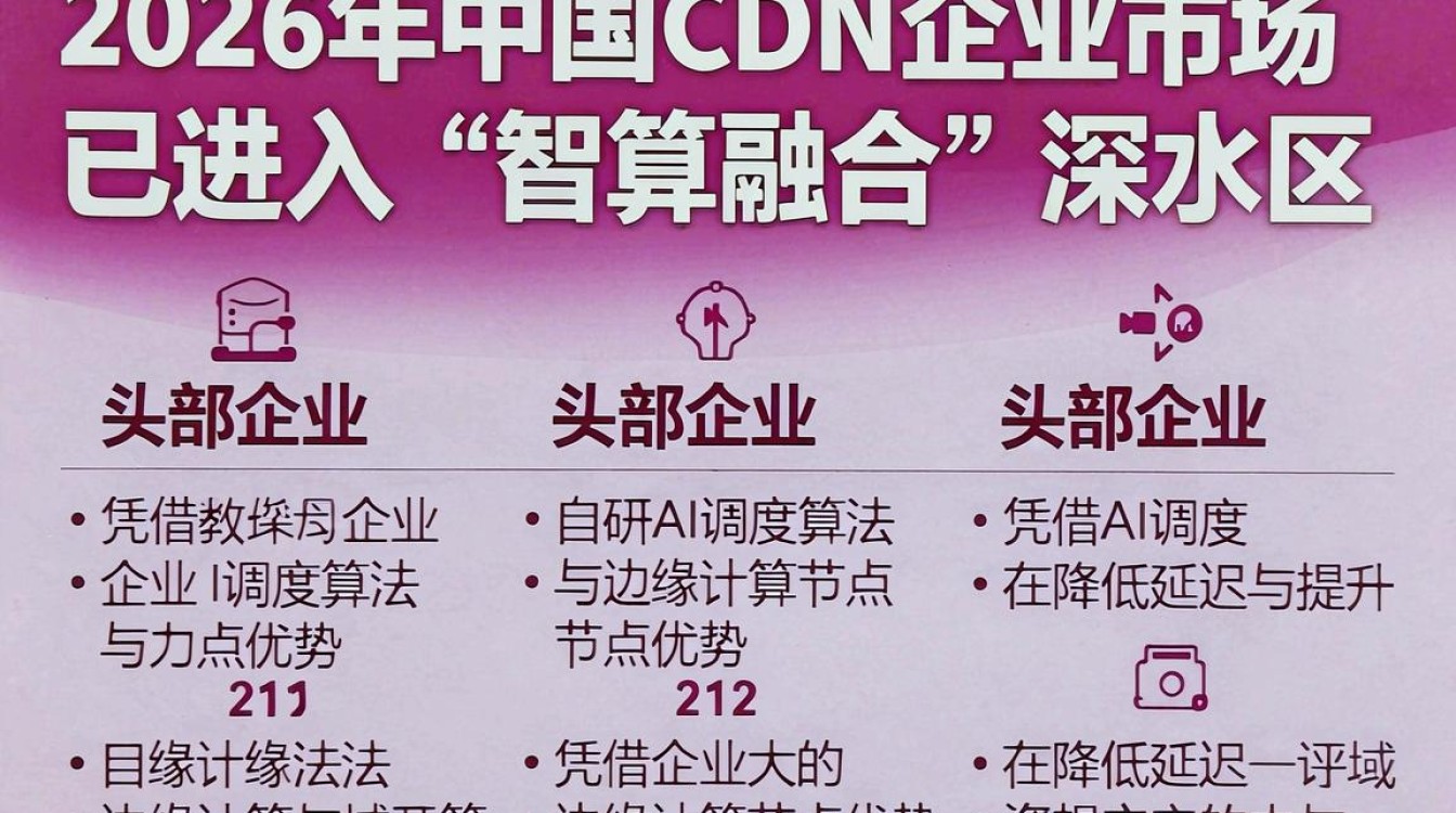 中国cdn企业