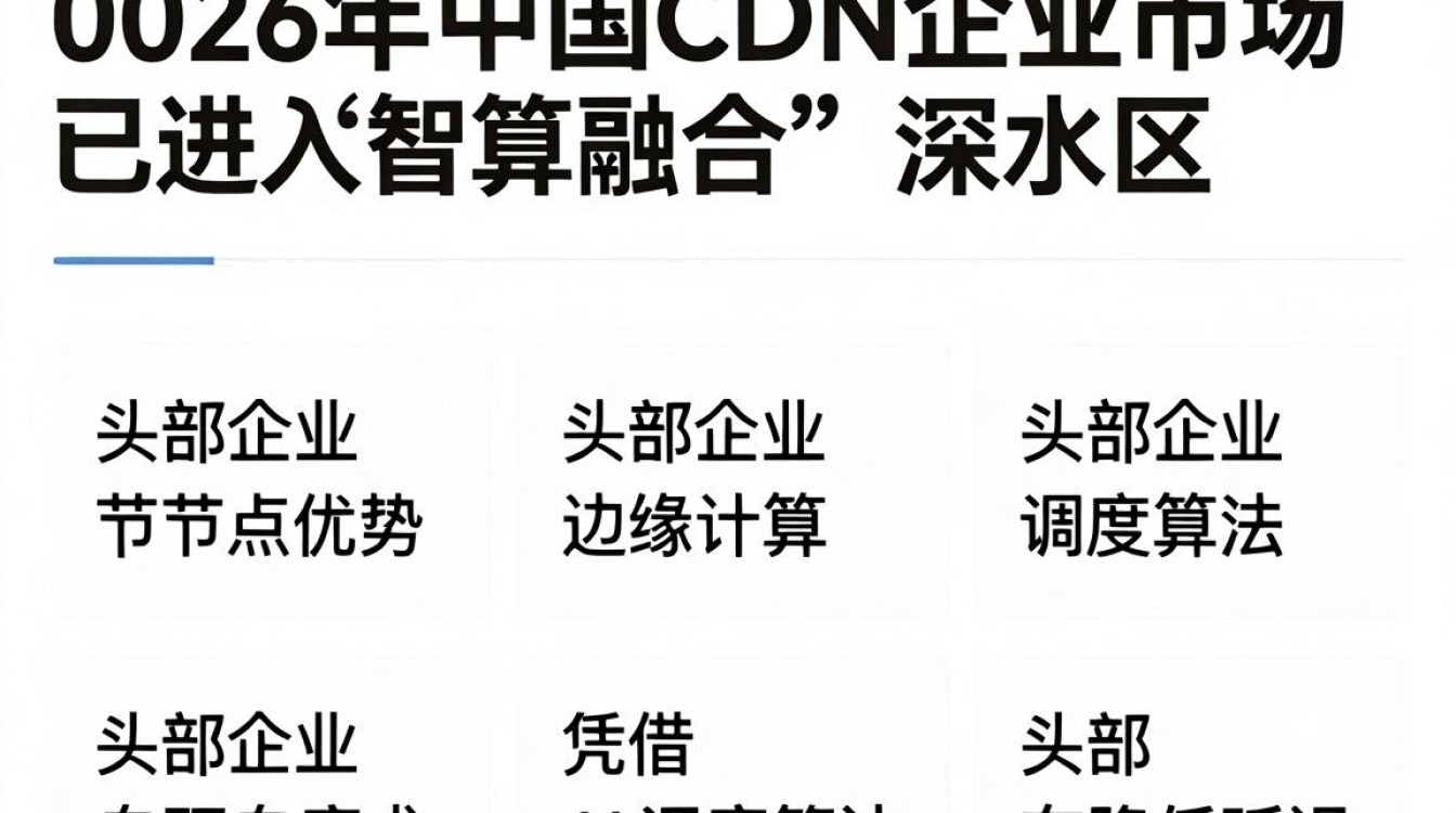 中国cdn企业