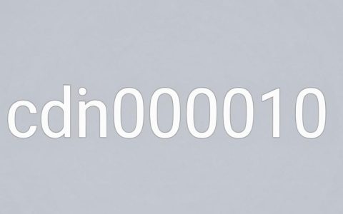 cdn000010是什么？cdn000010加速服务详解
