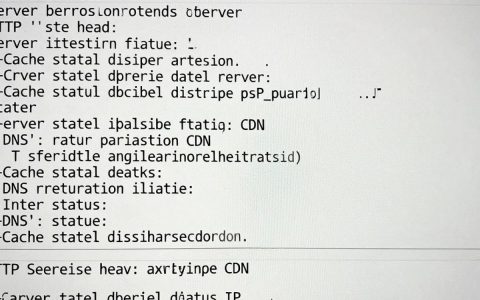 如何判断是否cdn，cdn是什么