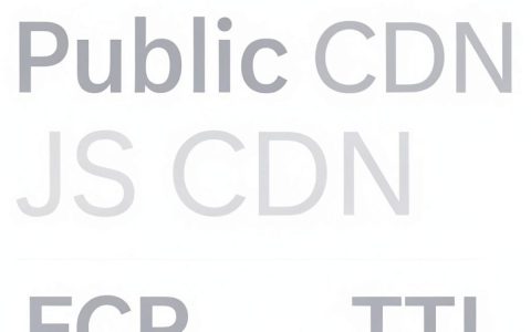 公共js cdn怎么用，公共js cdn