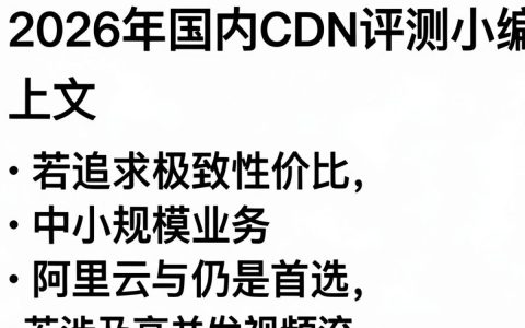 国内CDN评测哪家强，国内CDN评测