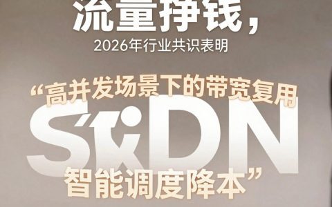 cdn流量挣钱是真的吗，cdn流量费用