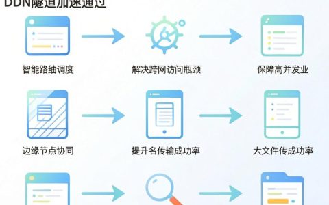 cdn隧道加速是什么，cdn隧道加速