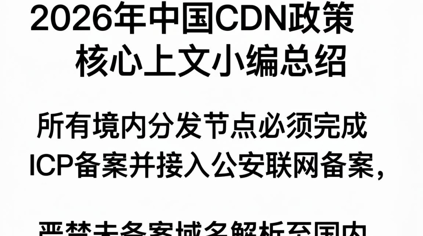 中国cdn政策
