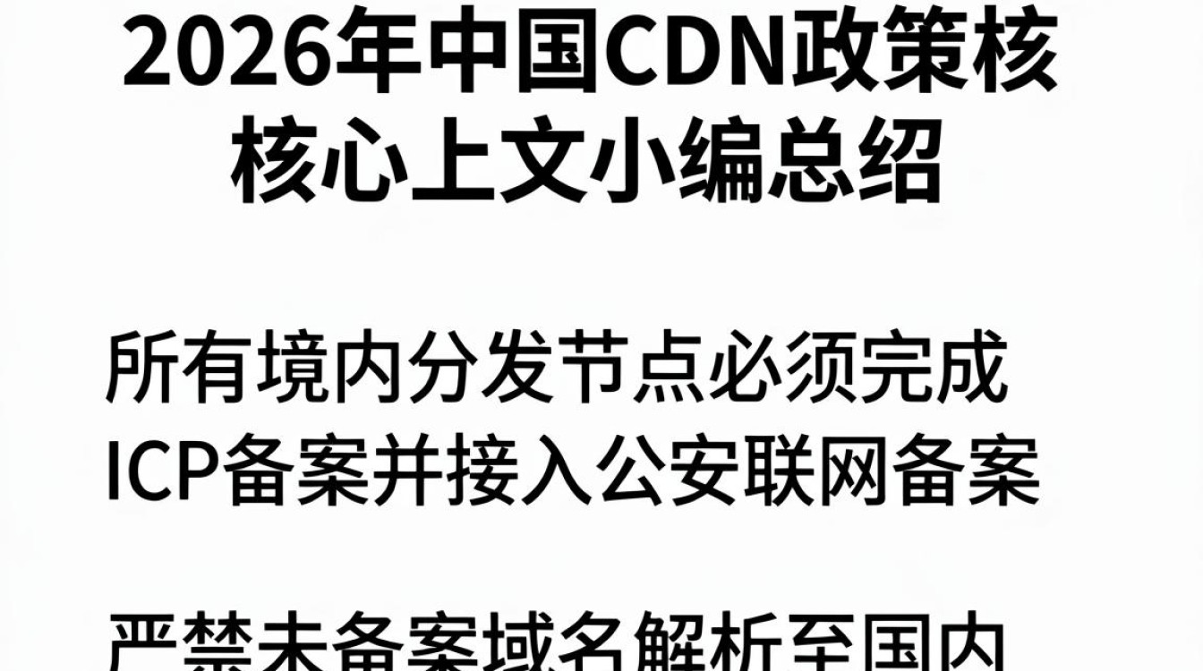 中国cdn政策
