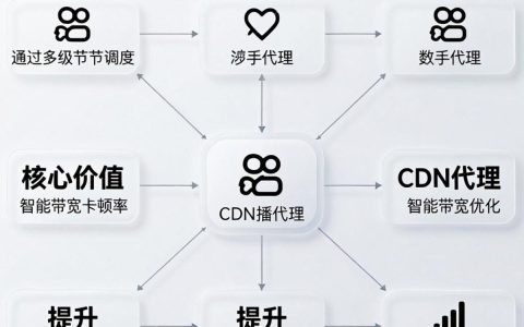 快手cdn代理是什么，快手cdn代理