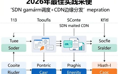 cdn sdn加速是什么，cdn sdn加速