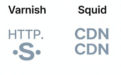varnish squid cdn