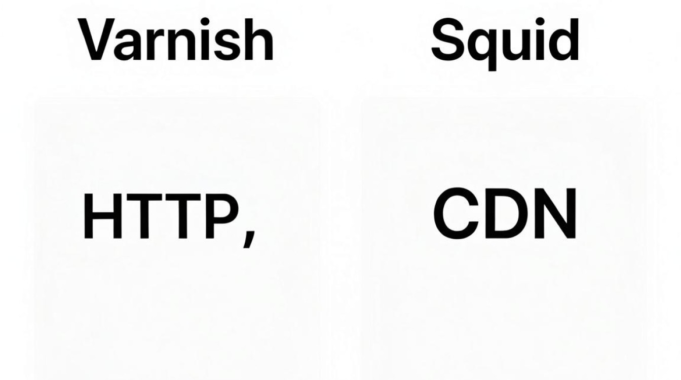 varnish squid cdn