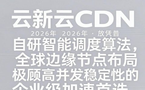 小新云CDN好用吗，小新云CDN加速效果