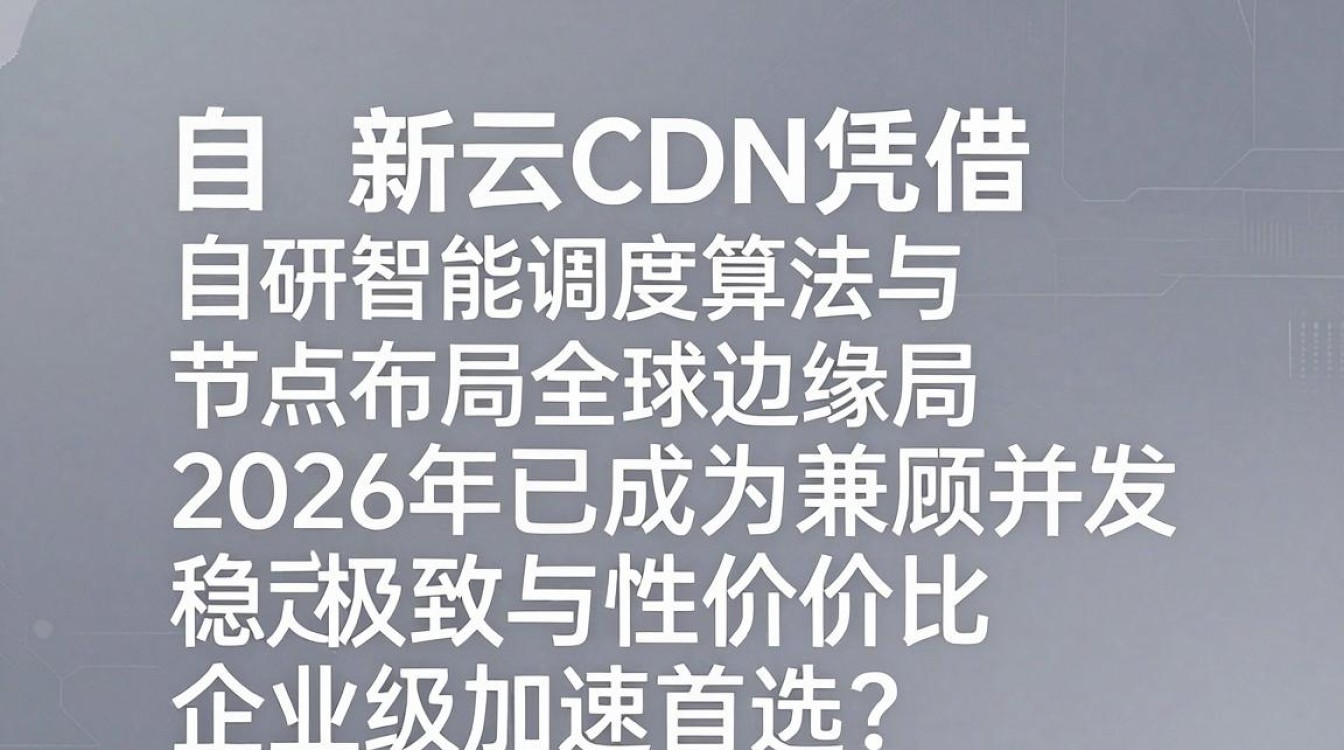 小新云cdn 小新云cdn