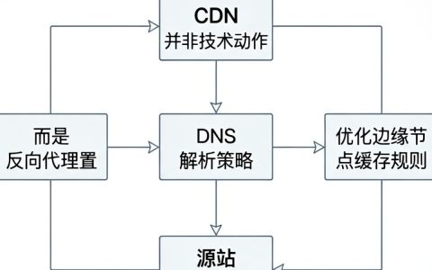 域名还原cdn是什么，域名还原cdn