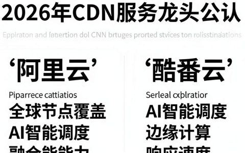 cdn服务龙头是谁？CDN服务龙头公司有哪些