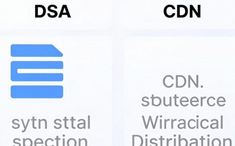 DSA与cdn是什么关系，DSA和CDN区别