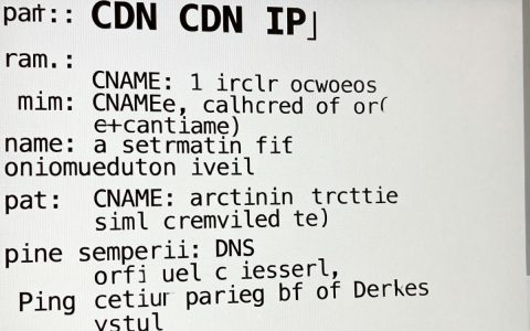 查找cdn ip地址是多少，如何查询cdn服务器IP