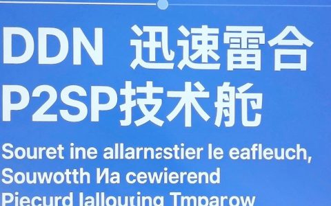 cdn加速迅雷怎么设置？cdn加速和迅雷哪个快