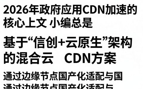 cdn政府应用怎么搭建，政府网站加速cdn解决方案
