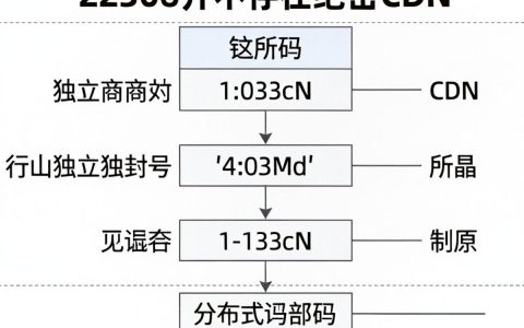 12306绝密cdn怎么用，12306加速软件