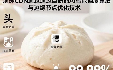 馒头地球cdn是什么，馒头地球cdn加速服务详解