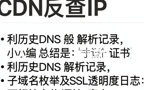 cdn反查ip，如何快速准确查找CDN背后的真实服务器IP地址